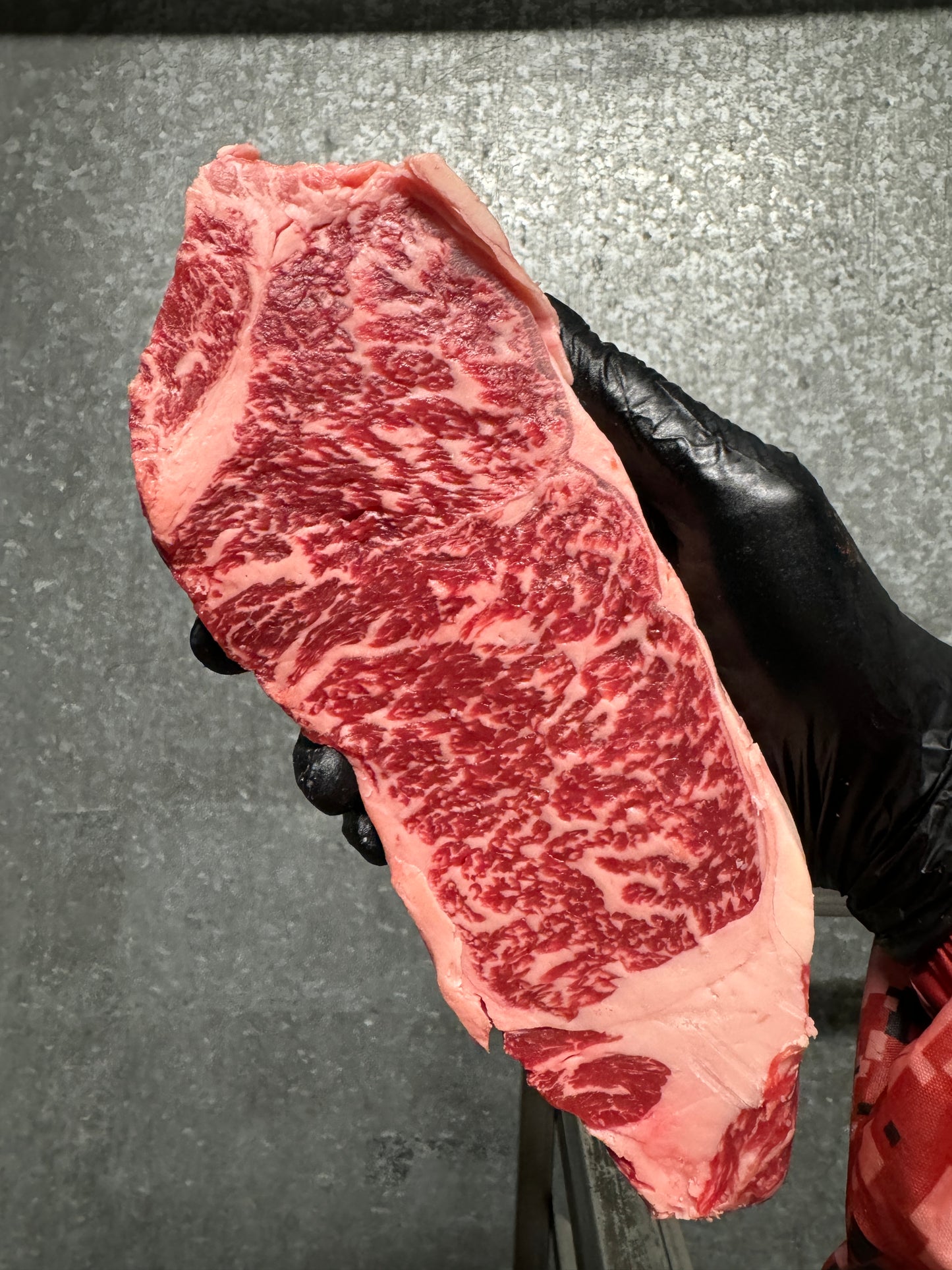 AU & JP SAMPLER (RIB & STRIP)