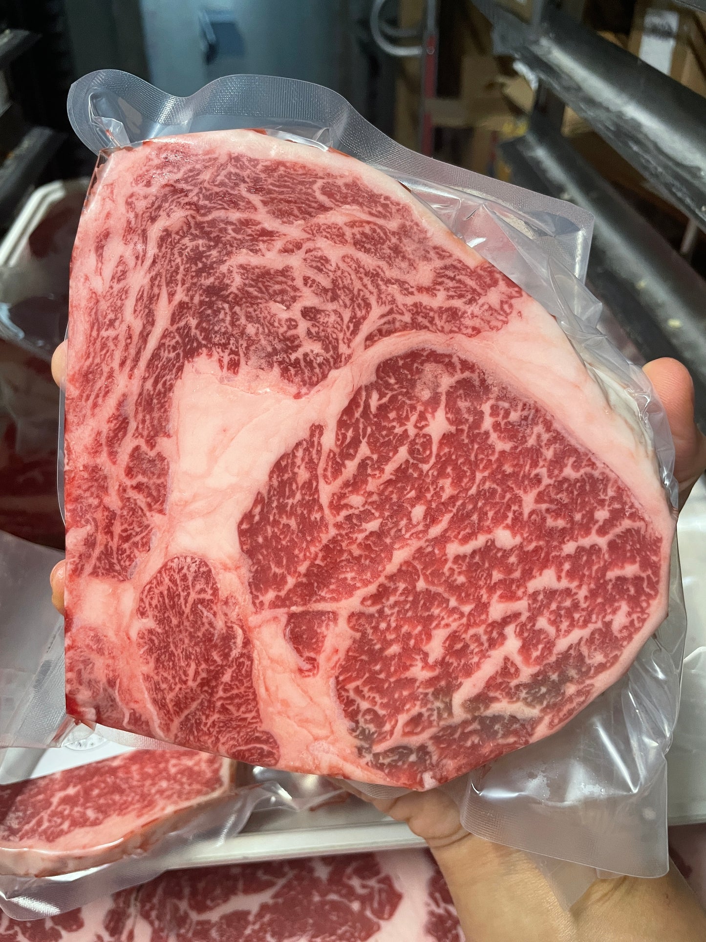 AU & JP SAMPLER (RIB & STRIP)