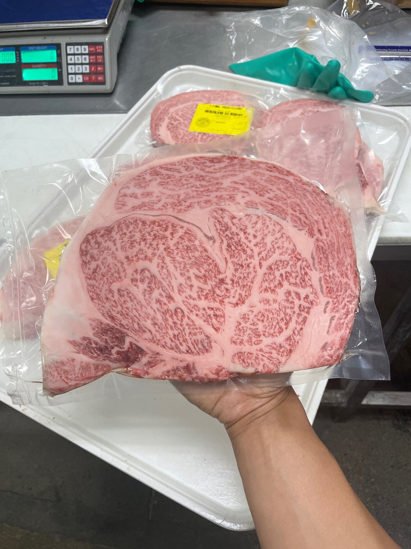 A5 MURAKAMI-GYU RIBEYE