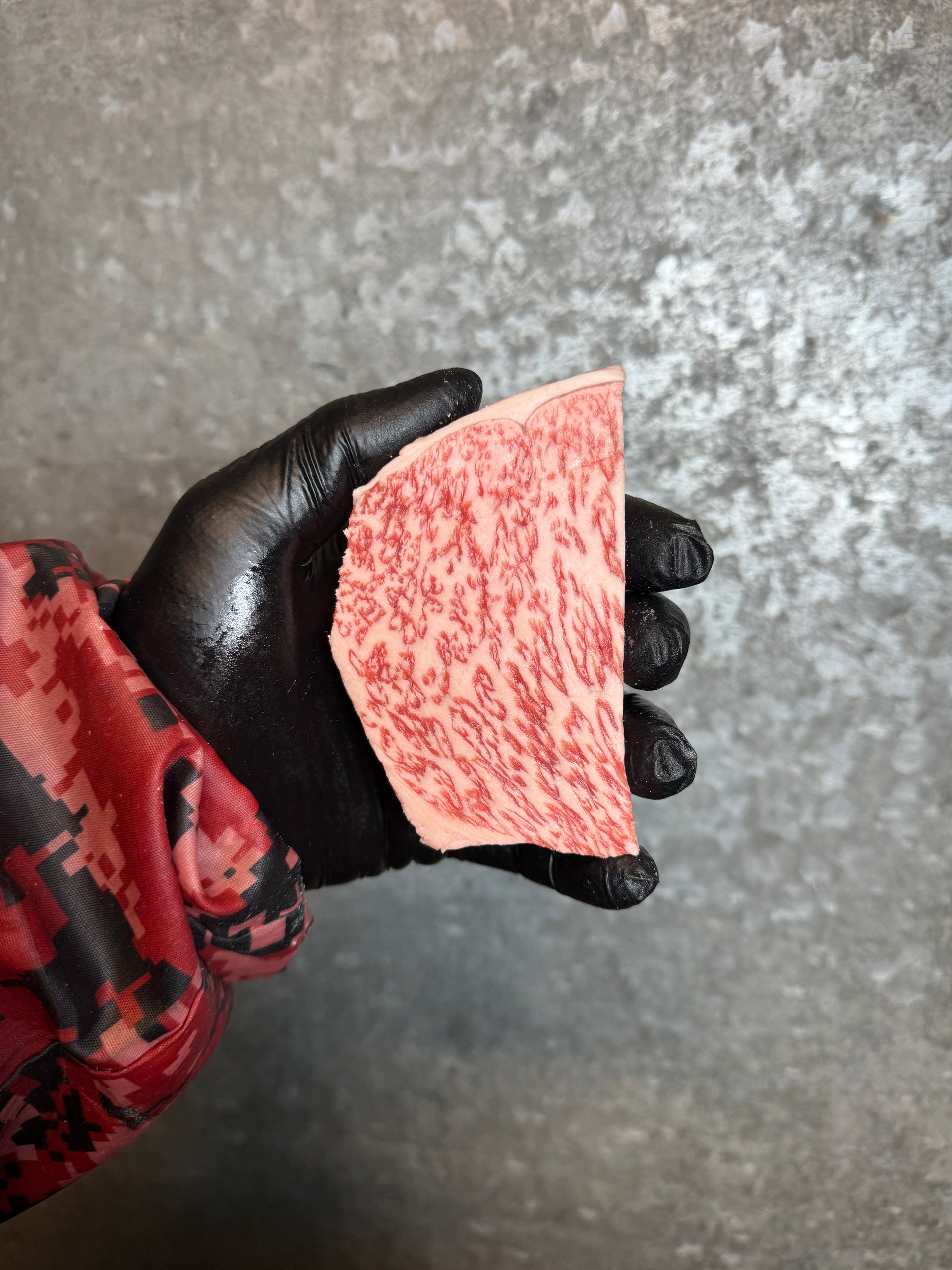 A5 Hida NY Strip — BMS 8-12 Japanese A5 Wagyu, Gifu Prefecture — marbling detail