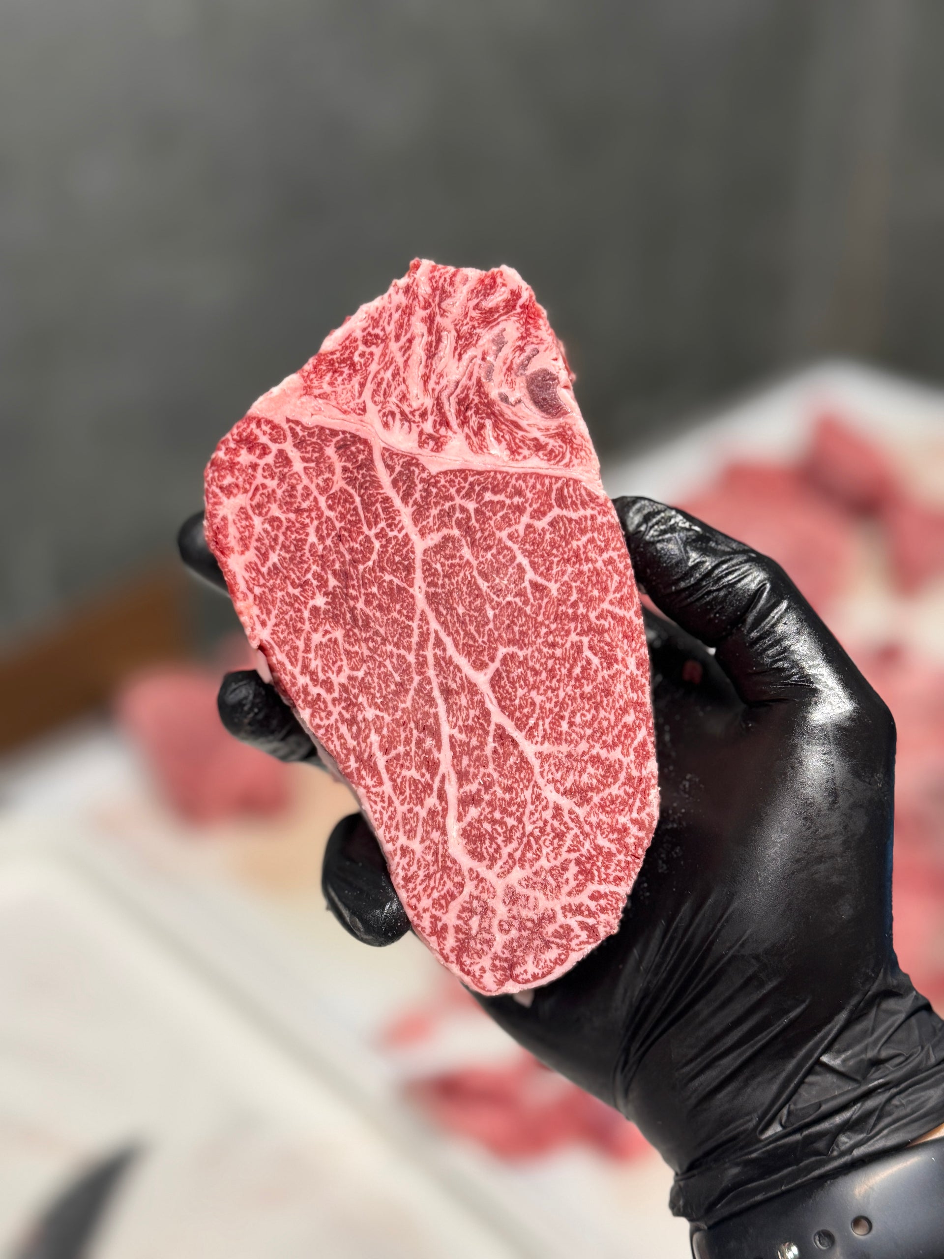 A5 Hokkaido Filet — BMS 8-12 Japanese A5 Wagyu, Hokkaido