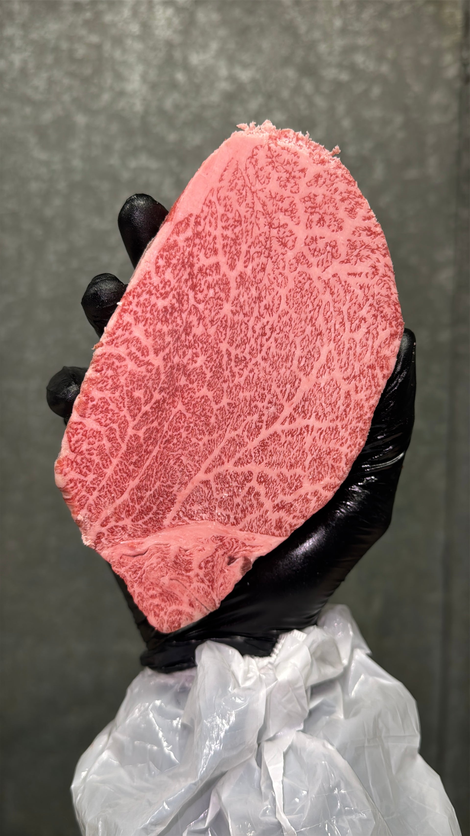 A5 Namiki Filet — BMS 8-12 Japanese A5 Wagyu, Hyogo Prefecture (Namiki Farm)