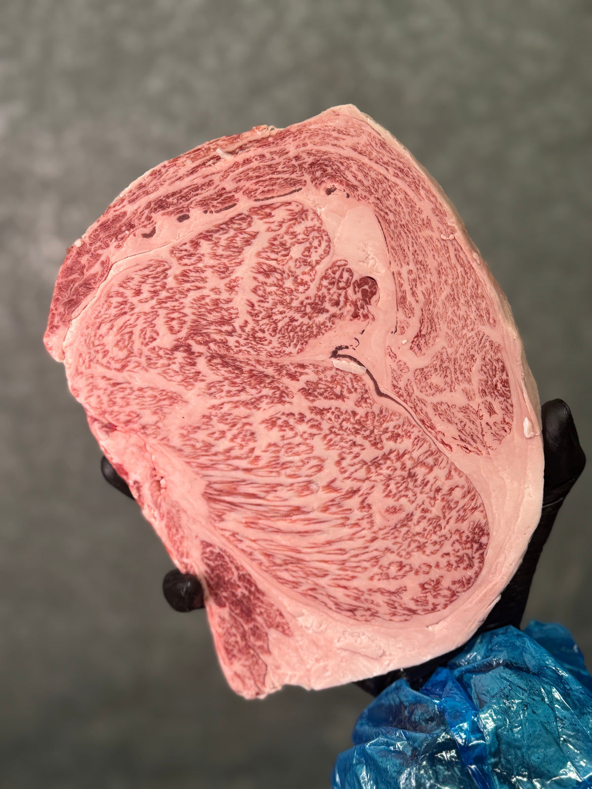 A5 Shimane Ribeye — BMS 8-12 Japanese A5 Wagyu — marbling detail