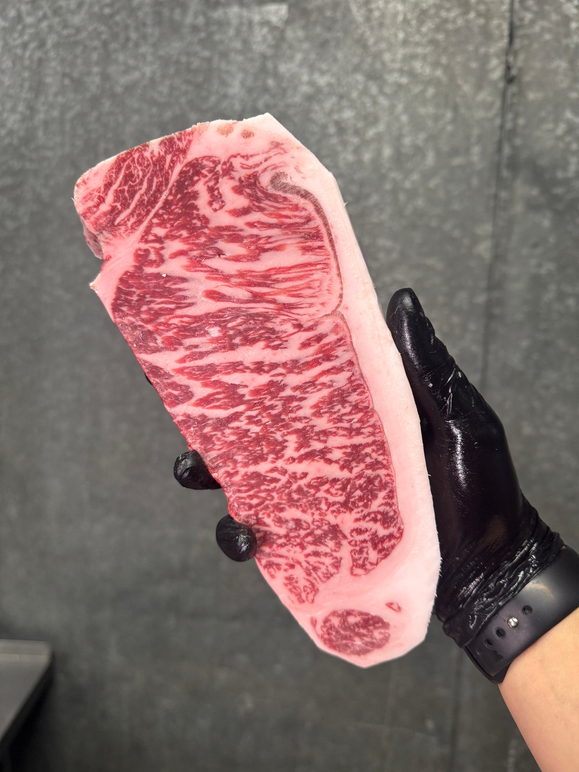 F1 Kozatsu Rokko NY Strip — Ligma Provisions premium meat